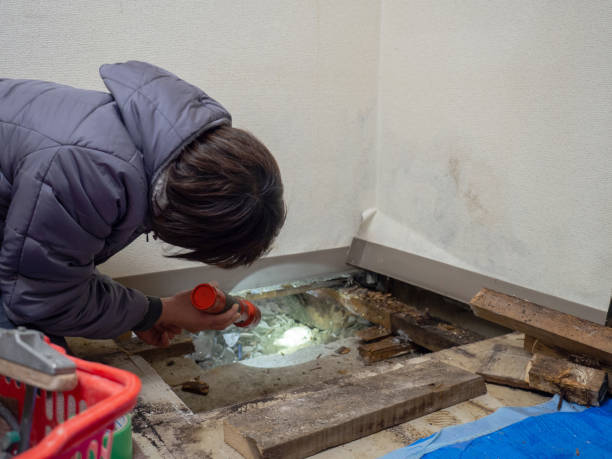 Best Crawl Space Mold Remediation  in Braddock Heights, MD
