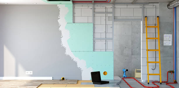 Best Real Estate Mold Inspection  in Braddock Heights, MD