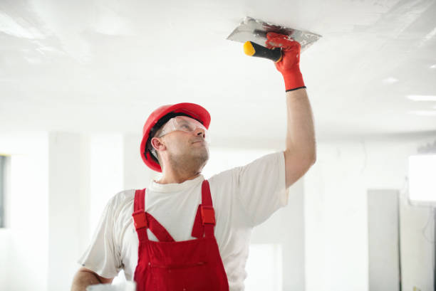 Best Emergency Mold Remediation  in Braddock Heights, MD