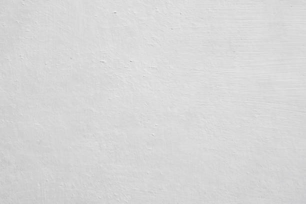 Best Mold Prevention Services  in Braddock Heights, MD