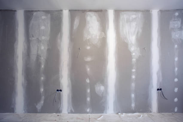 Best Mold Documentation for Insurance Claims  in Braddock Heights, MD